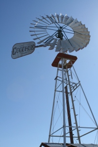 Windmill Fair 039